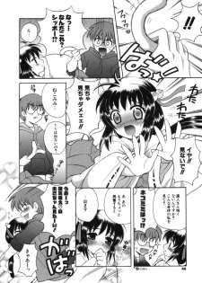 [Nagisawa You] Petit Kyun - page 45