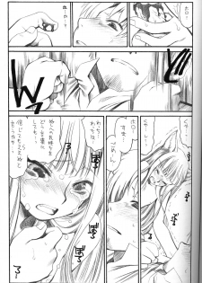 (C72)[Emode (Sanada Rin)] Shiawase wo Ushinau Naraba Kinyoku Nado Gu no Kocchou (Ookami to Koushinryou / Spice and Wolf) - page 12