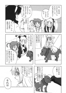 [Oogurodou (Kuro)] Kemono tachi no Yuuutsu -Kaiteiban- (nanoha) - page 14