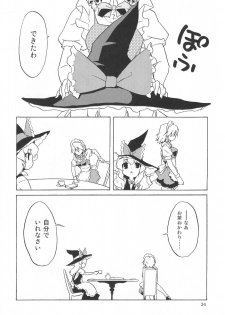 (SC39) [Web Knight (Naitou Satoshi)] Shinku No Aruji ~The Meister Of Scarlet~ (Touhou Project) - page 24