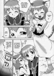 (C68) [Jack-O'-lantern (Ebifly, Neriwasabi)] Neko Panchu (Final Fantasy XI) [English] [desudesu] [Incomplete] - page 1