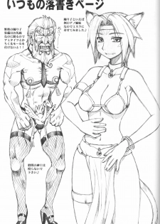 (C73) [JACK-O-LANTERN (EBIFLY, Neriwasabi)] Arutana Hajikemashita (Final Fantasy XI) - page 46