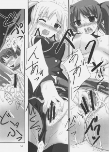 [Overcrowd (Kusakami Akira)] PN. (Mahou Shoujo Lyrical Nanoha) - page 13