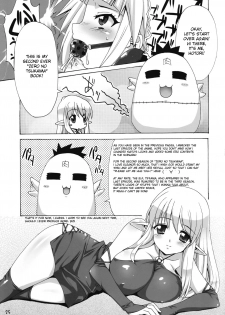[SION (Hotori)] Boku wa motto Louise to SEX suru!! | I Will Have More Sex With Louise (Zero no Tsukaima) [English] - page 24