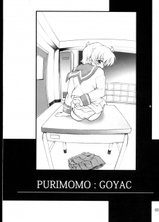 (C67) [PURIMOMO (Goyac)] Nenene's Doujinshi Panic!! 2 (Read or Die) - page 2