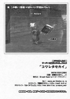 (C73) [Brough-Superior, Jikusando! (Tsujisaki Sou)] Kowareta Sekai (Final Fantasy XI) - page 29