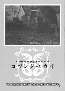 (C73) [Brough-Superior, Jikusando! (Tsujisaki Sou)] Kowareta Sekai (Final Fantasy XI) - page 2