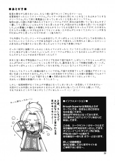 (C73) [Brough-Superior, Jikusando! (Tsujisaki Sou)] Kowareta Sekai (Final Fantasy XI) - page 28