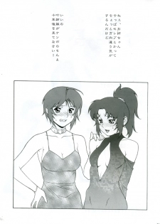 (C68) [Motchie Oukoku (Motchie)] Gekkan Lunamaria (Gundam SEED DESTINY) - page 23