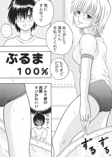 (CR37) [Taishita Shoten (Taishita Monda)] Buruma 100% (Ichigo 100%) - page 2