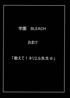 (SC39) [Kairanban (Bibi)] Benten Kairaku 7 (BLEACH) - page 29