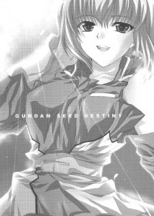 [FANTASY WIND] L-S (Kidou Senshi Gundam Seed Destiny) [English] - page 2