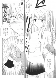 (C65) [Aion (Amou Mari)] Random Ni Saku Nobe No Hana Ni (Full Metal Alchemist) - page 9