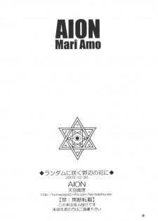 (C65) [Aion (Amou Mari)] Random Ni Saku Nobe No Hana Ni (Full Metal Alchemist) - page 29