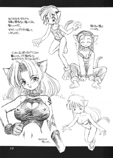 (C54) [Dedepoppo (Ebifly)] Tokonatsu Neko Nikki - page 14