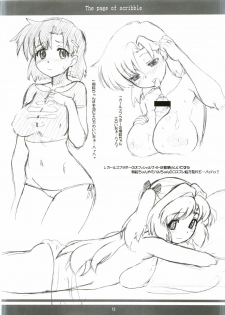 (Mimiket 12) [AMP (Norakuro Nero)] Elsa to Rione no Hon (Fushigiboshi no Futagohime) - page 11