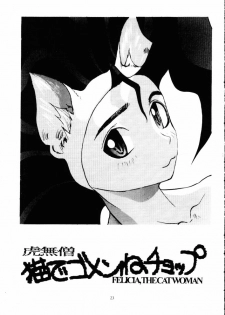 (C49) [Kiss-Mint-Kiss (Komusou, Tachibana Yuki)] Lemon Craydle (Darkstalkers) - page 22
