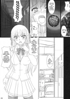 (C71) [Shiawase Kyouwakoku (Shiawase no Katachi)] Katashibu [English] [SaHa] - page 20