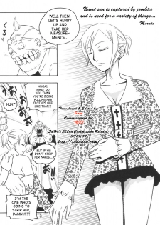 (C72) [ACID-HEAD (Murata.)] Nami no Ura Koukai Nisshi 3 (One Piece) [English] [SaHa] - page 4