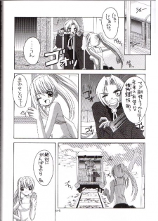 (SC23) [Yukimi Honpo (Asano Yukino)] Important (Fullmetal Alchemist) - page 27