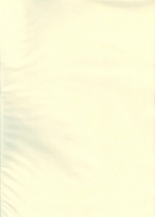 (C54) [Studio Retake (Kobayashi Masakazu)] Ese Naderaa (Martian Successor Nadesico) - page 3