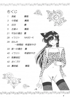 [Studio Boxer (Shima Takashi, Taka)] HOHETO 24 (Detective Conan) - page 3