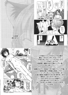 [Lunatic Wings] Ero Ero Nekoro Maid - page 46