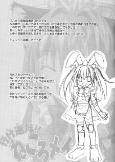 [Lunatic Wings] Ero Ero Nekoro Maid - page 25