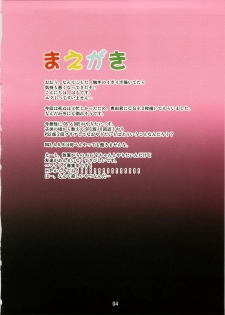 (C74) [AN-ARC (Hamo)] Guruguru Kenja-san (Dragon Quest III) - page 4