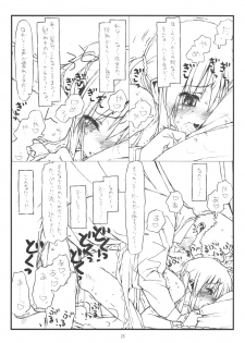 (C74) [bolze. (rit.)] Kara no Naka no Kotori ja naku Orino Naka no Shineko (Hayate no Gotoku!) - page 14