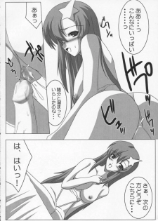 [Raiden Yashiki] Meer Special (Kidou Senshi Gundam SEED DESTINY / Mobile Suit Gundam SEED DESTINY - page 5