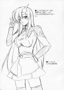 [Raiden Yashiki] Meer Special (Kidou Senshi Gundam SEED DESTINY / Mobile Suit Gundam SEED DESTINY - page 14