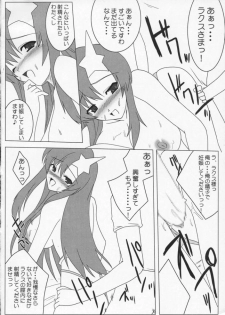 [Raiden Yashiki] Meer Special (Kidou Senshi Gundam SEED DESTINY / Mobile Suit Gundam SEED DESTINY - page 11