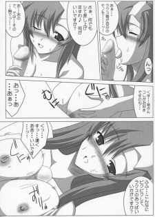 [Raiden Yashiki] Meer Special (Kidou Senshi Gundam SEED DESTINY / Mobile Suit Gundam SEED DESTINY - page 6