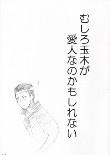 (C74) [Akifumi-chan (Ozawa Akifumi)] Omoshiro Hetare Dorei Lulu-san To Kichikuou CC-sama (Code Geass) - page 16