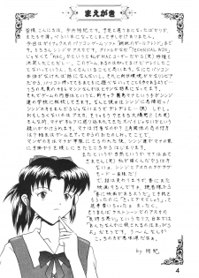 [SYSTEM SPECULATION] Technical Mac 1 Koutetsu No Girl Friend (Evangelion) - page 3