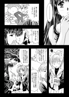 (C58) [Henreikai (Kawarajima Koh)] Sakura Ame ~Final~ Gekan (Card Captor Sakura) - page 17