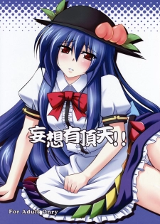 (C74) [Dokomademo Aoi Sora ni Ukabu Niku (Nikusoukyuu)] Mousou Uchouten!! (Touhou Project) - page 1