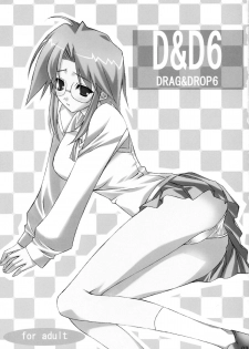 (C64) [WIREFRAME (Yuuki Hagure)] D&D6 DRAG&DROP6 (Tsukihime) - page 2