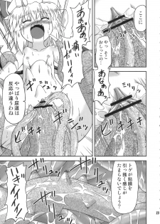 (Akatsuki no Utage 01) [Hanbun Maboroshi no Gensoukyou (Hino)] deflation-charisma (Touhou Project) - page 23