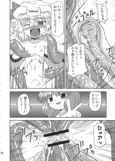 (Akatsuki no Utage 01) [Hanbun Maboroshi no Gensoukyou (Hino)] deflation-charisma (Touhou Project) - page 24