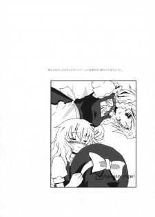 (C72) [Vitamin Gohan (Hasegawa Keita)] Motto! Gohan wo Tabete ii Hi (Touhou Project) - page 17