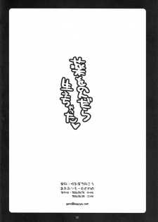 [Gema] Kusuri Wonondara Haechatta ( Touhou Project ) - page 21