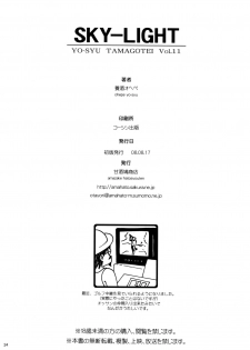 (C74) [Amazake Hatosyo-ten (Yoshu Ohepe)] SKY LIGHT (Street Fighter) - page 24
