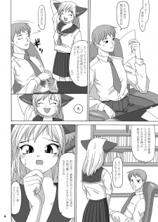 (C64) [Aa, Warera Katou Hayabusa Sentoutai (Katou)] Maru-Maru | Maru2 - page 4