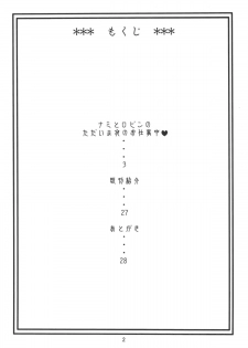 (C74) [ACID-HEAD (Murata.)] Nami no Koukai Nisshi EX NamiRobi 2 (One Piece) - page 3