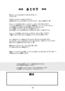 (C74) [ACID-HEAD (Murata.)] Nami no Koukai Nisshi EX NamiRobi 2 (One Piece) - page 29