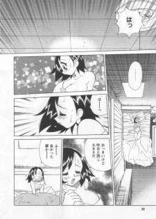 [Kawamoto Hiroshi] Kokuhou Chichi Musume Chami - page 30