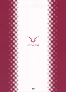 (C74) [DECOPPACHI (Hidiri Rei)] CAT&DOG (CODE GEASS: Lelouch of the Rebellion) - page 26