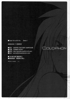 (C74) [Dieppe Factory (Alpine)] FATE FIRE WITH FIRE (Mahou Shoujo Lyrical Nanoha) - page 50